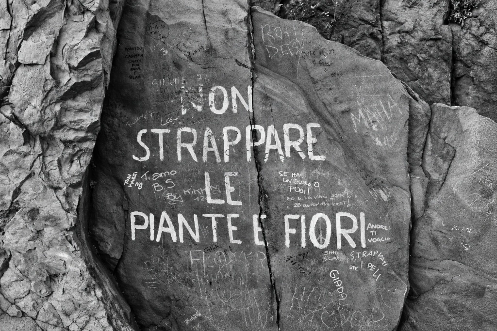 02 — non strappare le piante e fiori